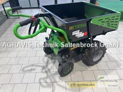 Etesia DONKY MBEB