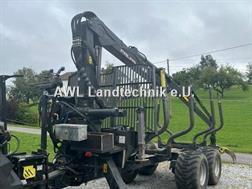 Palms H 10U + K 7.72