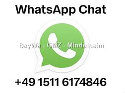 Wiedenmann Snowmaster 3809