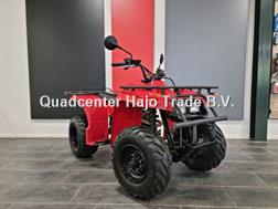 Yamaha Beartracker 250