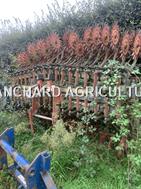 Maschio HOUE ROTATIVE