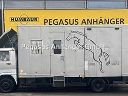 Man VW 8.153 3 Pferdetransporter Wohnabteil 7,5t. hydr