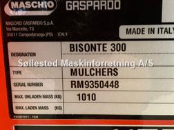 Maschio Bisonte 300