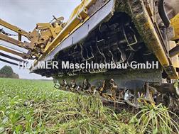 Ropa Ropa Tiger 6s 2024