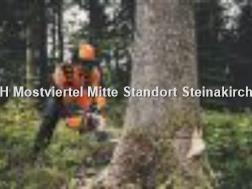  BENZIN MOTORSÄGE MS 400.1 -M / 45 cm
