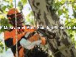  AKKU MOTORSÄGE MSA 161 T/30