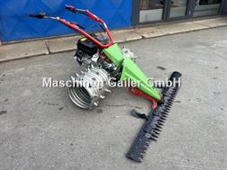 Rapid Swiss, Baujahr 2018, Top-Zustand