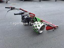 Rapid Rex