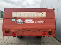 Bergmann M