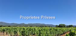 Propriété viticole
