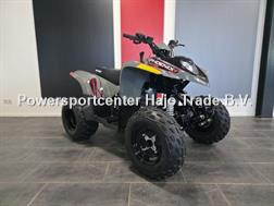 Polaris Pheonix 200